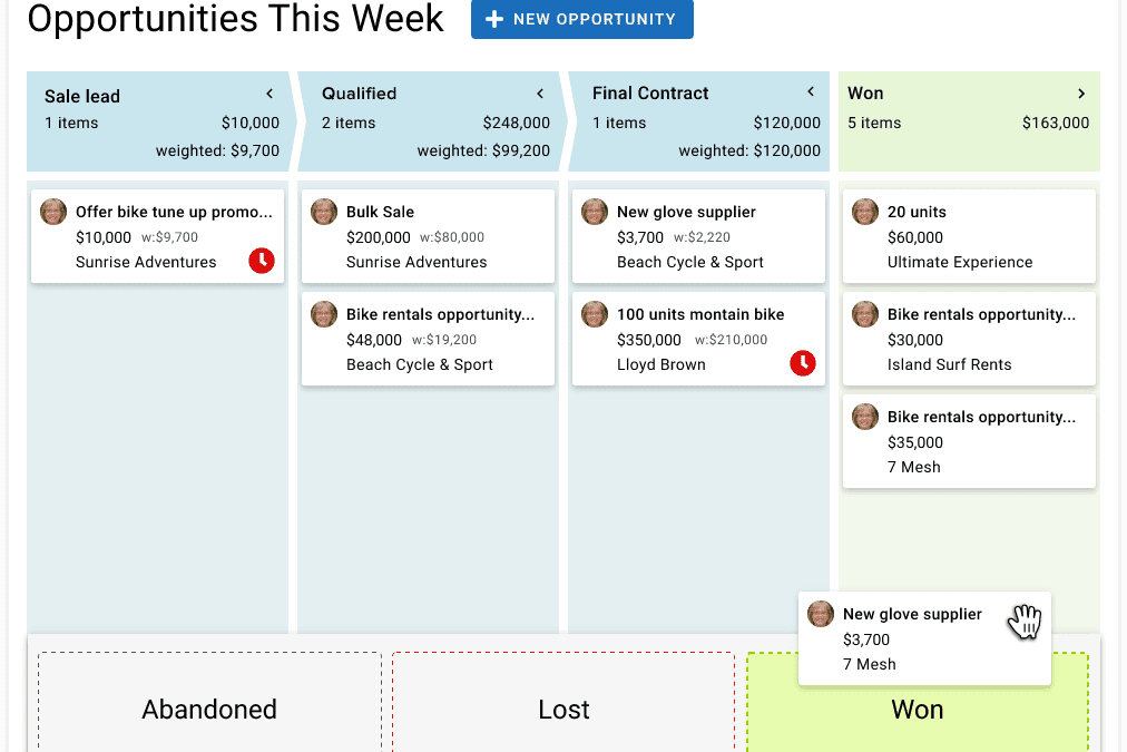 Maximizer’s Opps Viewer
