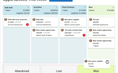 Maximizer’s Opps Viewer